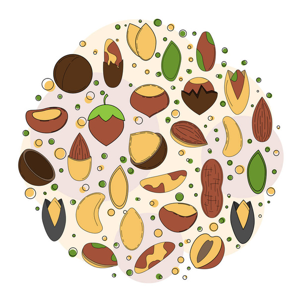Concepto de tarjeta de frutos secos. Ilustración vectorial para diseño y web
, - Vector, imagen