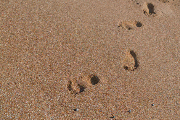 footprints in the sand left by me on the Adriatic - Photo, Image