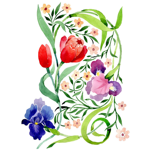 Iris ornamento flores botânicas florais. Conjunto de ilustração de fundo aquarela. Isolados buquês elemento ilustrativo
. - Foto, Imagem