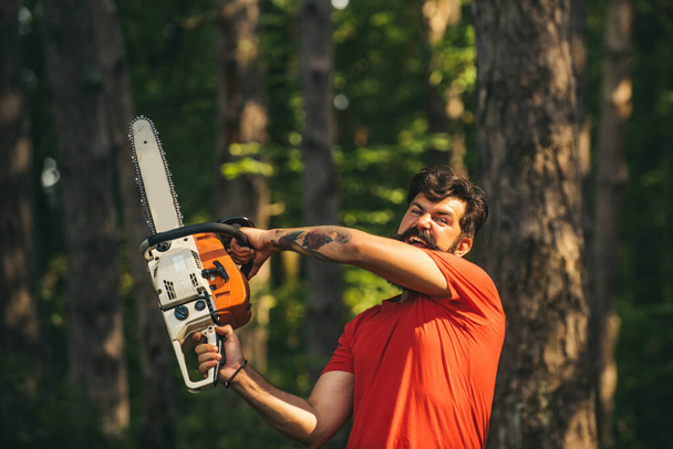 The Lumberjack working in a forest. Deforestation is a major cause of land degradation and destabilization of natural ecosystems. Woodworkers lumberjack. - Fotoğraf, Görsel
