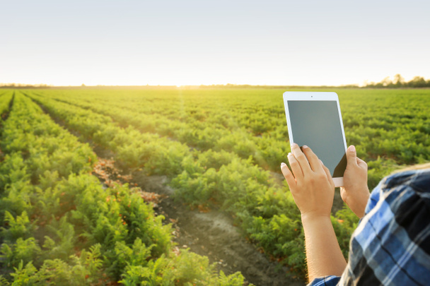Agricoltrice con tablet che lavora in campo
 - Foto, immagini