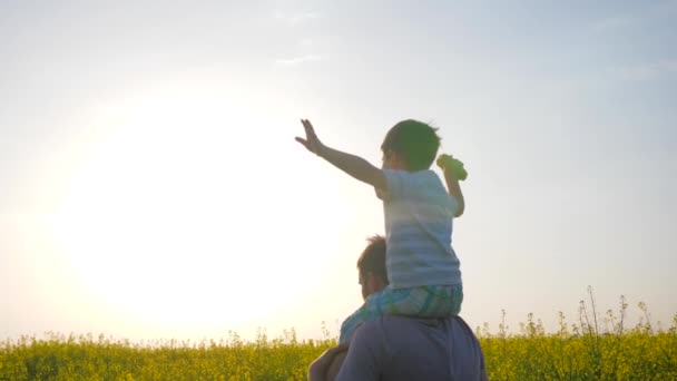 父親と息子は屋外公園で遊ぶ家族はバックライトで手を上げて遊ぶ息子は牧草地で肩の父親に座る - 映像、動画