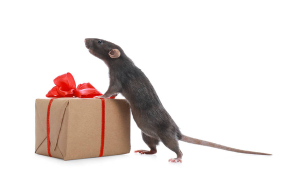 Cute little rat and gift box on white background. Chinese New Year symbol - Foto, Imagem