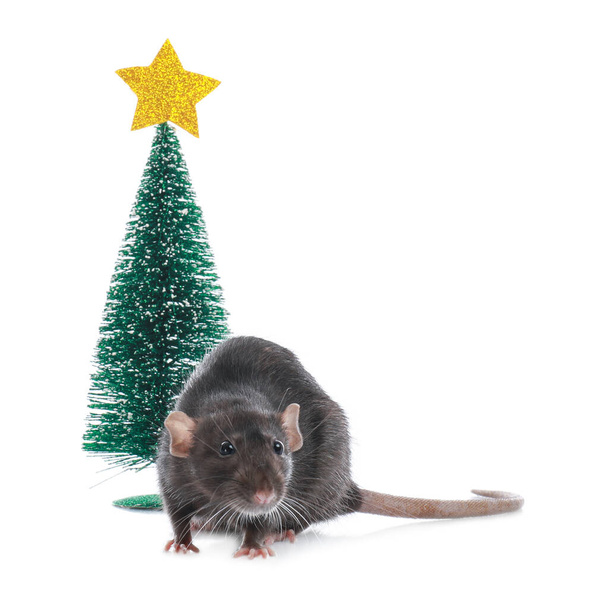 Cute little rat near decorative Christmas tree on white background. Chinese New Year symbol - Zdjęcie, obraz
