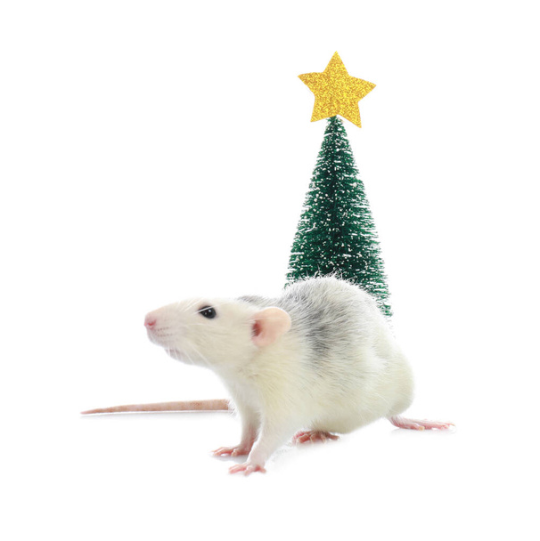 Cute little rat near decorative Christmas tree on white background. Chinese New Year symbol - Foto, imagen
