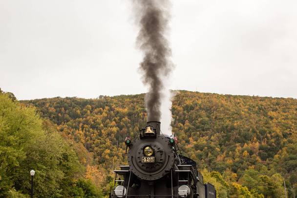 Dampflokomotive Zug fällt Bäume Hintergrund - Foto, Bild