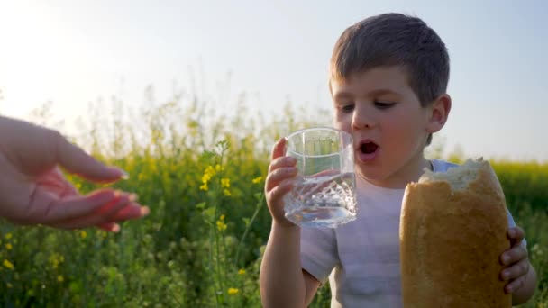 Maman donne du verre à enfant avec de l'eau propre, un enfant heureux affamé mange de la nourriture dans la prairie en contre-jour, un jeune avec du pain à la main
 - Séquence, vidéo