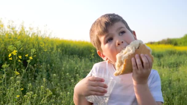 jolie jeune garçon avec pain pain et verre à la main sur le terrain de fond, petit garçon manger de la nourriture dans le parc à l'extérieur
 - Séquence, vidéo