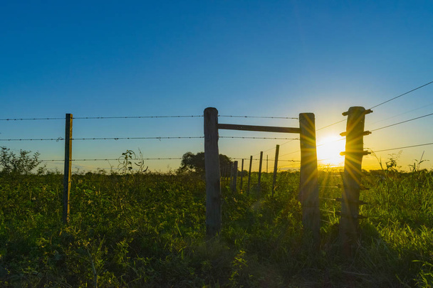 паркан в полі на заході сонця, на передньому плані - Фото, зображення