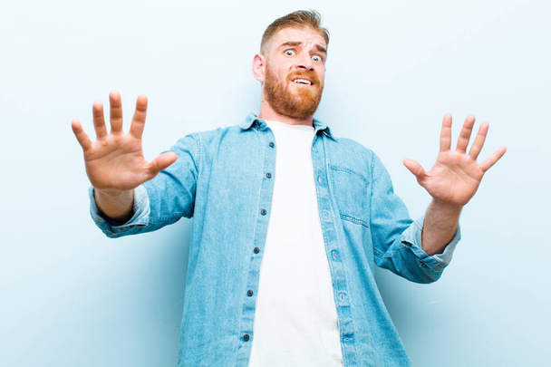 young red head man feeling stupefied and scared, fearing something frightening, with hands open up front saying stay away against soft blue background - Photo, image