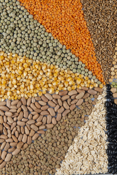 Farklı tahıllar ve yenilebilir tohumlar büyük toplama. - Fotoğraf, Görsel
