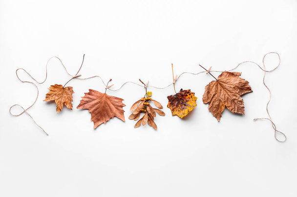 Guirlande faite de feuilles d'automne sur fond blanc
 - Photo, image