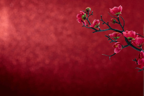 Chinese New Year 2020 Flowers plum blossom on red - Fotoğraf, Görsel