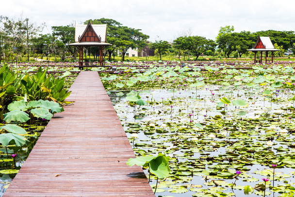 Thailand pavilion beside a lotus pond - Photo, Image