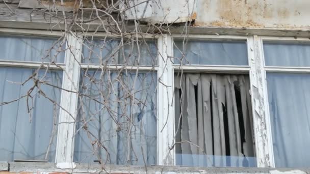Verfallenes altes Haus mit zersplitterten Fenstern und alten Vorhängen - Filmmaterial, Video