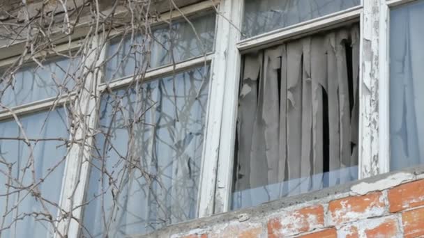 Elhagyott régi ablak fákkal és rongyos függönyökkel - Felvétel, videó
