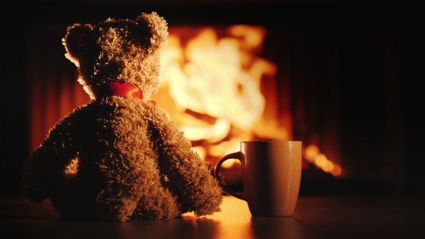 Un ours en peluche avec une grande tasse oh assis devant la cheminée
 - Séquence, vidéo