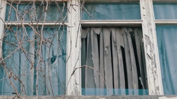 古い放棄された窓の外観乾燥した枝とぼろカーテン - 映像、動画