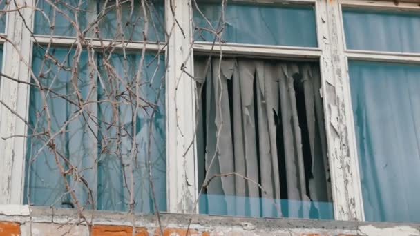 Elhagyott régi ablak fákkal és rongyos függönyökkel - Felvétel, videó