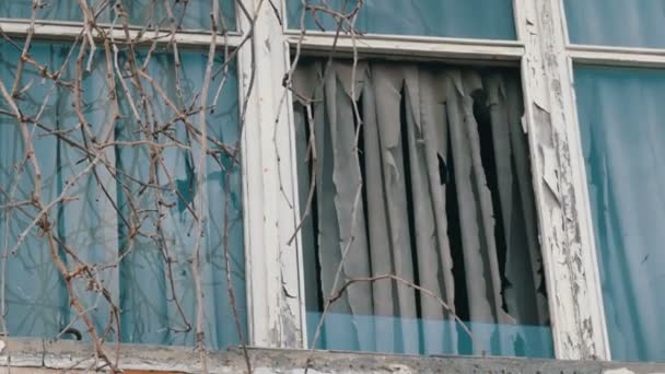 Exterieur van oud verlaten raam met droge takken en vochtige gordijnen - Video