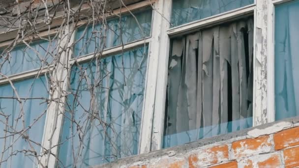 Εγκαταλελειμμένο παλιό παράθυρο με κλαδιά δέντρων και κουρτινές κουρτίνες - Πλάνα, βίντεο