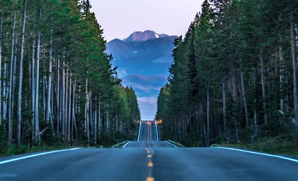 дорога через ліс, що веде до великих теонів
 - Фото, зображення