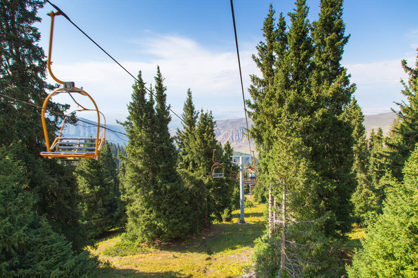 山の中で夏の山の風景高。クリスマスツリーの背の高い木、スキー場でのスキーリフト. - 写真・画像