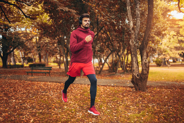 Hombre joven corriendo en el parque durante la mañana de otoño
 - Foto, imagen