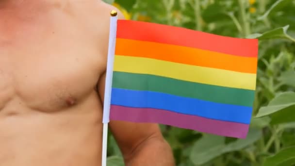 Красиве тіло молодого спортсмена з красивими м'язами тримає веселку Гей гордість ЛГБТ прапор в руках символ нетрадиційної орієнтації, проти квітучих соняшників влітку
 - Кадри, відео