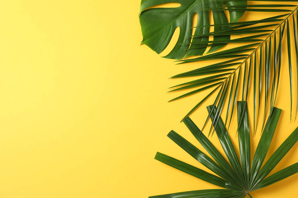 Different palm leaves on yellow background, copy space - Foto, immagini