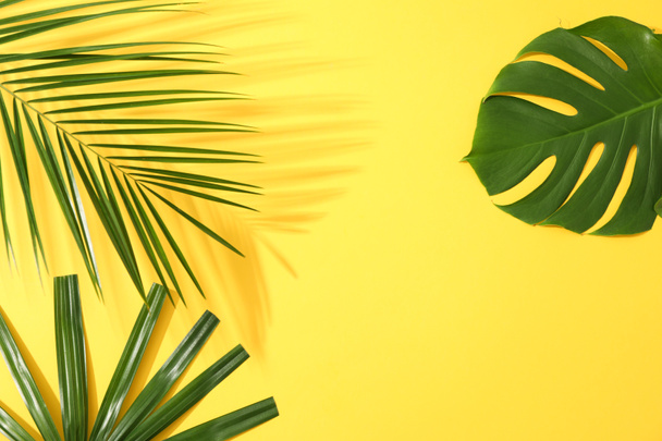 Different palm leaves on yellow background, copy space - Zdjęcie, obraz