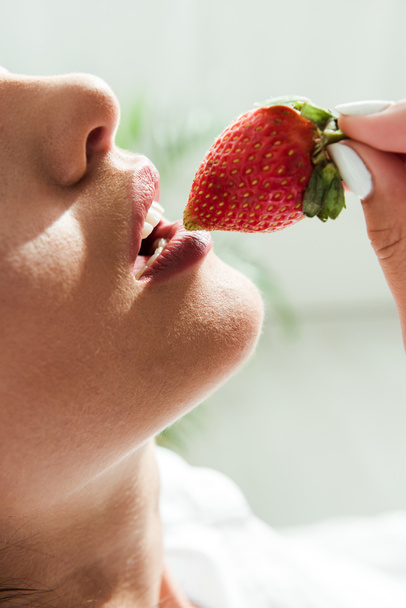 cropped view of woman eating red strawberry at morning  - Foto, Imagem