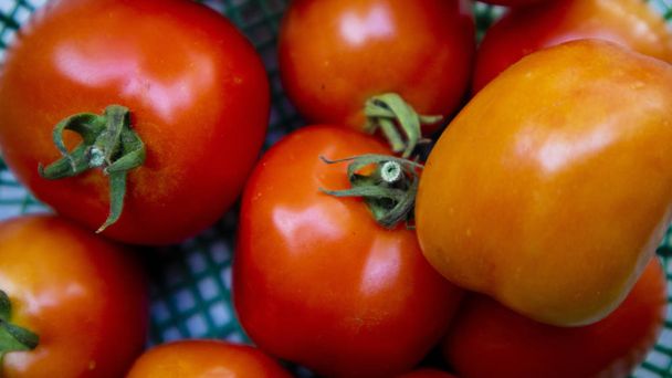 Tomatoes in the basket, fresh and have vitamins suitable for diet or ingredients - Fotó, kép
