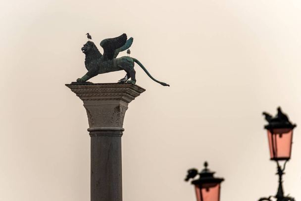 San Marco meydanının kanatlı aslanı Venedik İtalya - Fotoğraf, Görsel