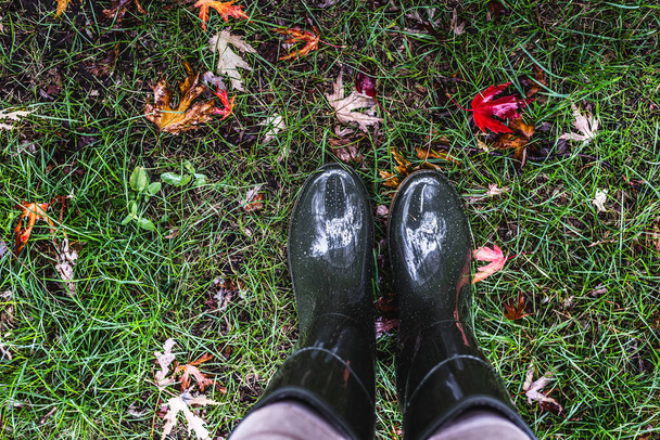 Ноги в оливково-зелених гумових черевиках, що стоять на зеленій траві з осіннім листям
. - Фото, зображення