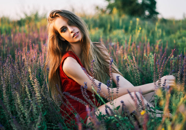 beautiful young woman posing at sage field in summer sun - Foto, Imagem