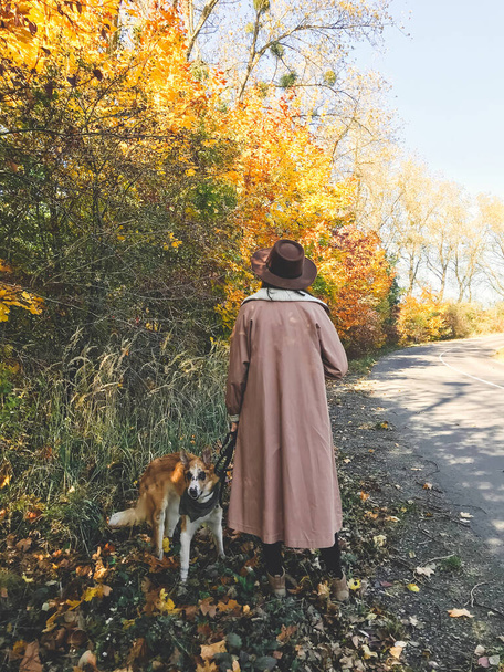 Hipster woman traveling with her golden dog, walking on autumn s - Fotografie, Obrázek