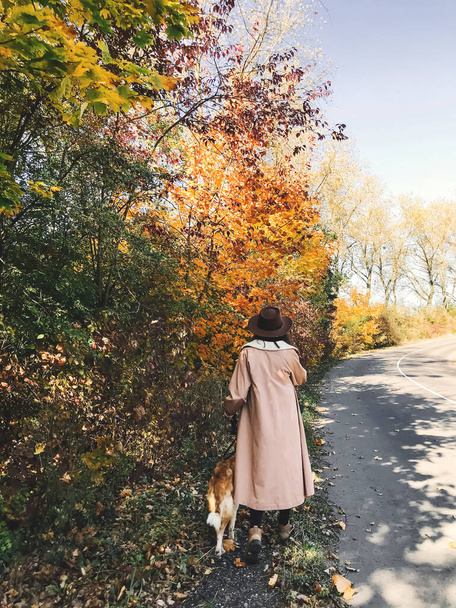 ヒップ女の子で帽子とコート歩くととともに彼女の黄金犬上の秋 - 写真・画像