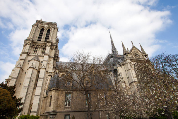 Notre Dame de Paris 2019 ilkbaharında, Fransa - Fotoğraf, Görsel