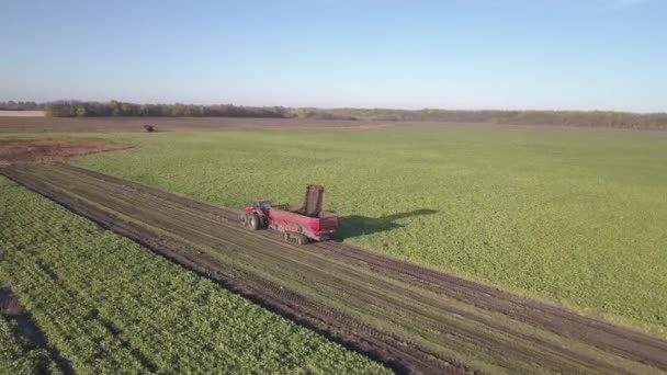 Harvesting sugar beets. Combines and cars remove root crops from the field. Aerial survey from a drone or quadrocopter. Autumn field work on the farm. Harvesting raw materials for sugar production. - Footage, Video