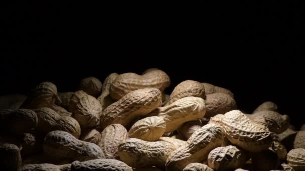 Erdnüsse Hülsenfrüchte Nahrung in einem Berg Kreisel mit schwarzem Hintergrund - Filmmaterial, Video