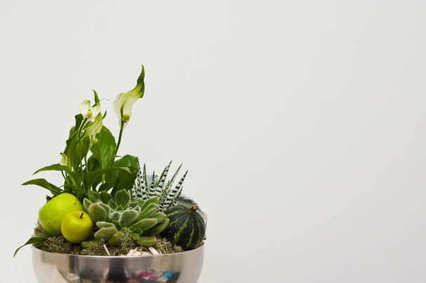 Флорист зробив миску з квітів у металевій мисці
 - Фото, зображення