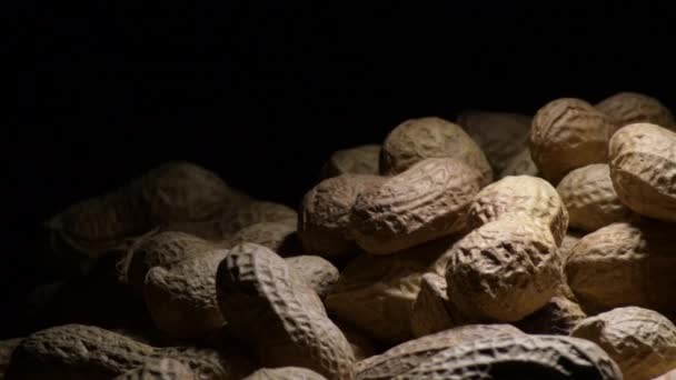 Erdnüsse in einem Berg, Hülsenfrüchte, kreiselnd mit schwarzem Hintergrund - Filmmaterial, Video