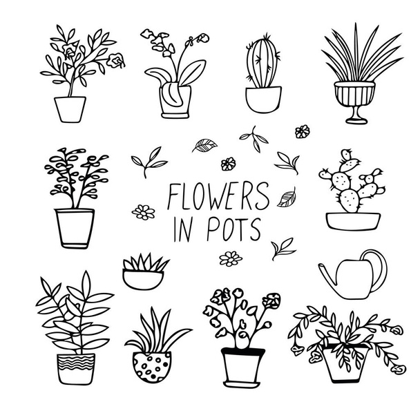 plantas y flores en macetas conjunto de elementos en estilo dibujado a mano. línea simple doodle scandinavian
. - Vector, imagen