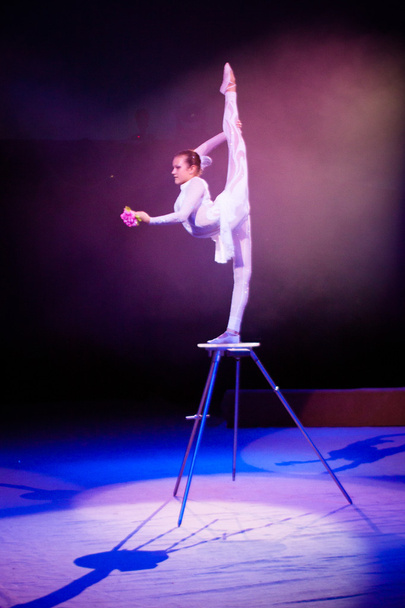 LVIV, UKRAINE - AUGUST 18: Acrobatic artist performs in circus " - Фото, изображение