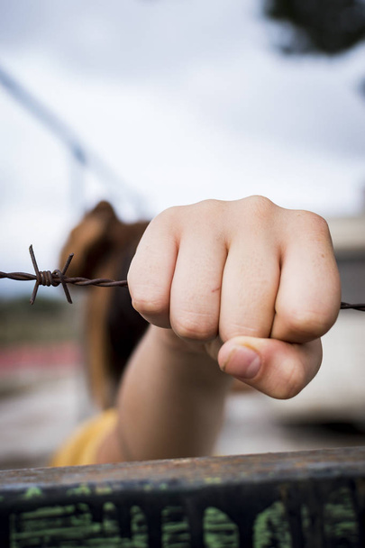 Hunger for freedom. The hands on the barbed wire. - Photo, Image