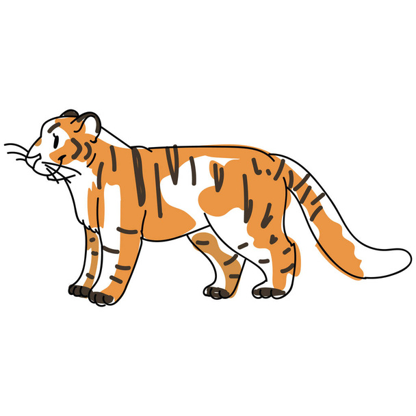 Skechy atrament tygrys duży kot wektor ilustracji. Wolna ręka narysowane zagrożone dżungli kliparty dzikiej przyrody, dzieci rysunek niebezpiecznych dzikich zwierząt.  - Wektor, obraz