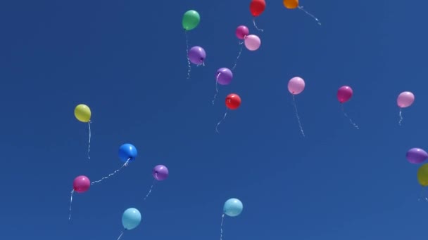 mooie gekleurde ballonnen vliegen in de lucht, rood blauw geel oranje roze. Veel kleurrijke ballonnen vliegen in de lucht. Feest- en verjaardagsconcept. Het concept van een mooie vakantie. - Video