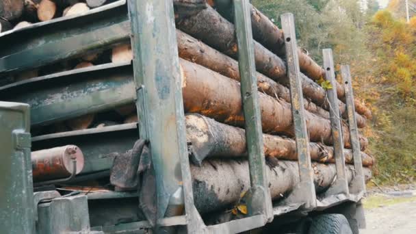 Průmyslový kamion s přívěsem přepravuje čerstvě řezané klády. Stromový kmeny úhledně v řadě. Doprava dřeva na kamionu na horské silnici. - Záběry, video