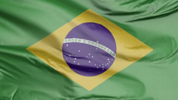 Flag of Brazil 3D - Footage, Video